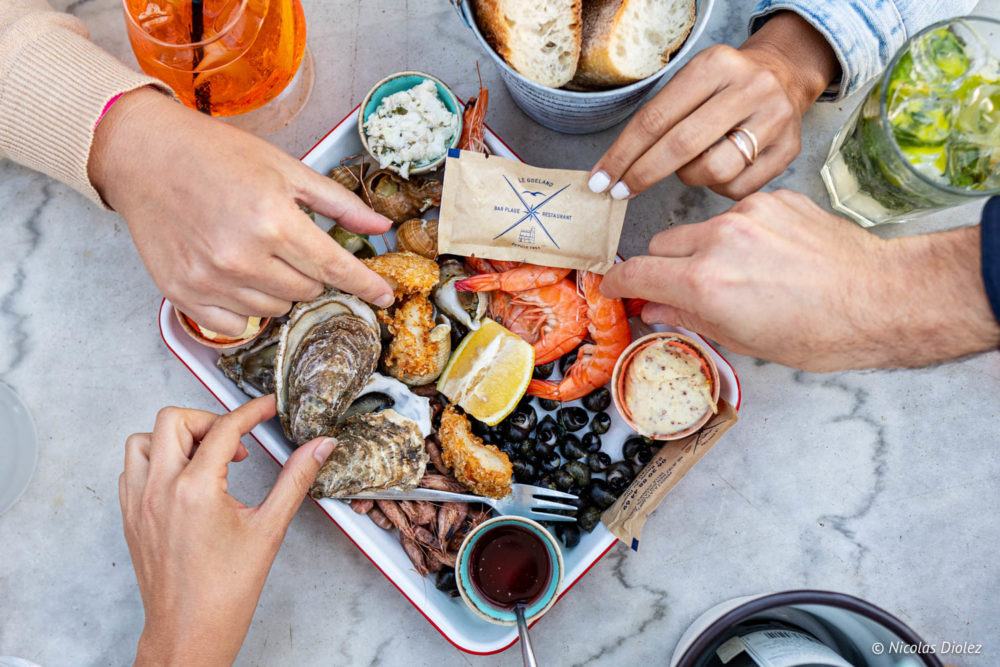 Le Goeland - DR Nicolas Diolez 2022-15